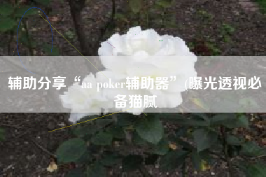 辅助分享“aa poker辅助器	”(曝光透视必备猫腻