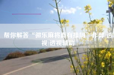 帮你解答“微乐麻将真有挂吗	”作弊(透视)透视辅助