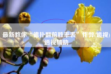 最新教你“德扑翻前胜率表”作弊(透视)透视辅助