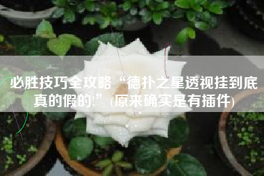 必胜技巧全攻略“德扑之星透视挂到底真的假的!”(原来确实是有插件)