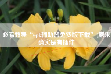 必看教程“wpk辅助器免费版下载	”(原来确实是有插件