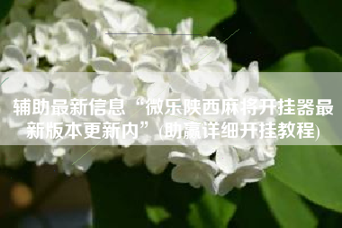 辅助最新信息“微乐陕西麻将开挂器最新版本更新内”(助赢详细开挂教程)