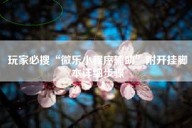 玩家必搜“微乐小程序辅助”附开挂脚本详细步骤