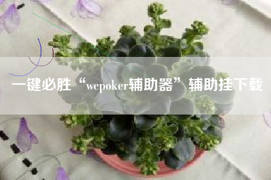 一键必胜“wepoker辅助器”辅助挂下载