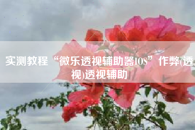 实测教程“微乐透视辅助器IOS”作弊(透视)透视辅助