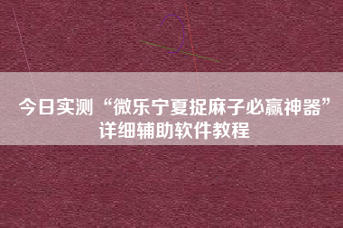 今日实测“微乐宁夏捉麻子必赢神器	”详细辅助软件教程