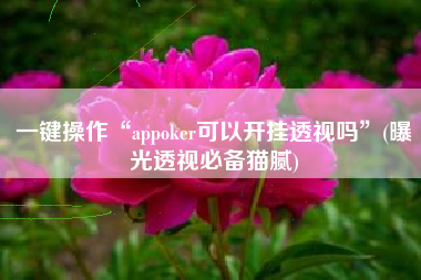 一键操作“appoker可以开挂透视吗”(曝光透视必备猫腻)