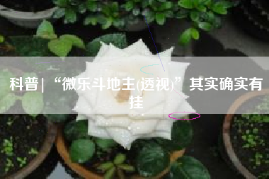 科普|“微乐斗地主(透视)”其实确实有挂