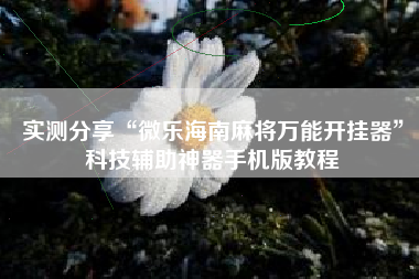 实测分享“微乐海南麻将万能开挂器	”科技辅助神器手机版教程