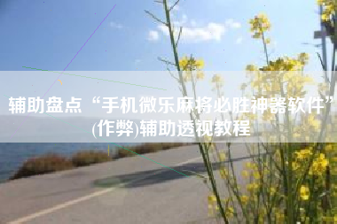 辅助盘点“手机微乐麻将必胜神器软件”(作弊)辅助透视教程