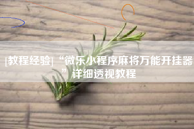 [教程经验]“微乐小程序麻将万能开挂器	”详细透视教程