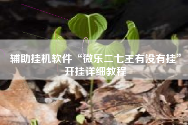 辅助挂机软件“微乐二七王有没有挂”开挂详细教程