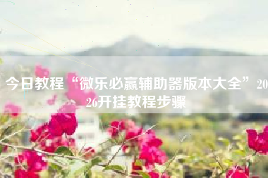 今日教程“微乐必赢辅助器版本大全	”2026开挂教程步骤