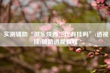 实测辅助“微乐陕西三代有挂吗”(透视挂)辅助透视教程