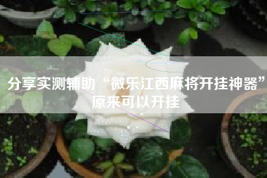 分享实测辅助“微乐江西麻将开挂神器”原来可以开挂