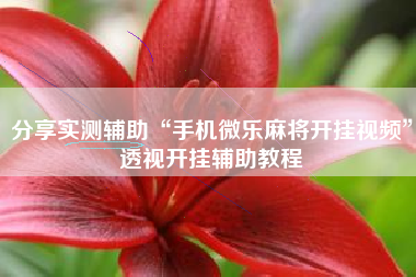 分享实测辅助“手机微乐麻将开挂视频”透视开挂辅助教程