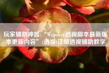 玩家辅助神器:“Wepoker透视脚本最新版本更新内容”(透视)详细透视辅助教学