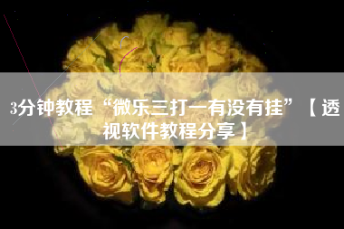 3分钟教程“微乐三打一有没有挂”【透视软件教程分享】