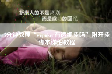 3分钟教程“wepoker有透视挂吗”附开挂脚本详细教程