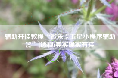 辅助开挂教程“微乐卡五星小程序辅助器”(透视)其实确实有挂