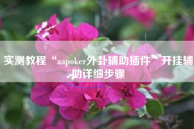 实测教程“aapoker外卦辅助插件”开挂辅助详细步骤