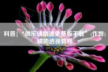 科普|“微乐辅助器免费版下载	”(作弊)辅助透视教程