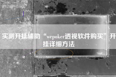 实测开挂辅助“wepoker透视软件购买”开挂详细方法