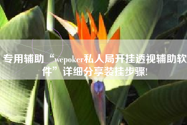 专用辅助“wepoker私人局开挂透视辅助软件	”详细分享装挂步骤!