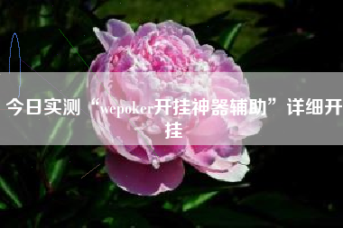 今日实测“wepoker开挂神器辅助”详细开挂