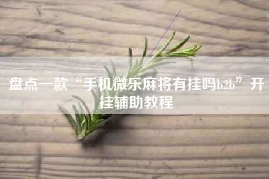 盘点一款“手机微乐麻将有挂吗b2b	”开挂辅助教程