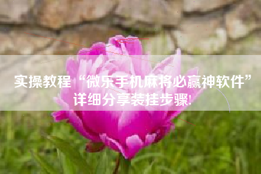 实操教程“微乐手机麻将必赢神软件”详细分享装挂步骤!