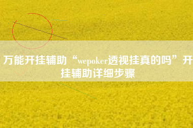万能开挂辅助“wepoker透视挂真的吗”开挂辅助详细步骤