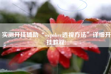 实测开挂辅助“wepoker透视方法”详细开挂教程!