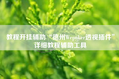 教程开挂辅助“德州Wepoker透视插件	”详细教程辅助工具