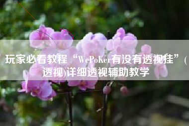 玩家必看教程“WePoKer有没有透视挂”(透视)详细透视辅助教学