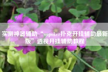 实测神器辅助“wepoker扑克开挂辅助最新版”透视开挂辅助教程