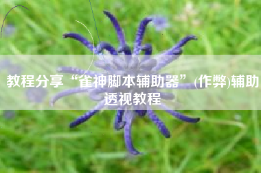 教程分享“雀神脚本辅助器	”(作弊)辅助透视教程