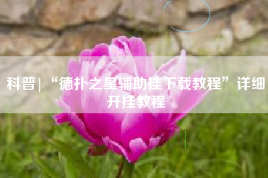 科普|“德扑之星辅助挂下载教程”详细开挂教程