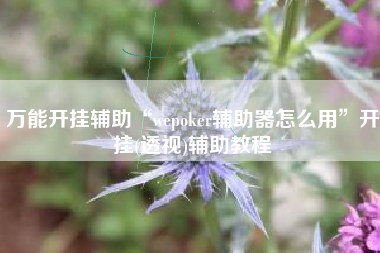 万能开挂辅助“wepoker辅助器怎么用	”开挂(透视)辅助教程