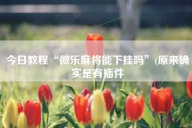 今日教程“微乐麻将能下挂吗”(原来确实是有插件