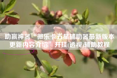 助赢神器“微乐卡五星辅助器最新版本更新内容介绍	”开挂(透视)辅助教程