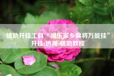 辅助开挂工具“微乐家乡麻将万能挂”开挂(透视)辅助教程