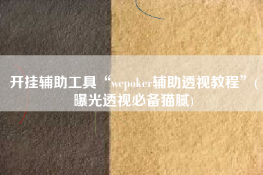 开挂辅助工具“wepoker辅助透视教程”(曝光透视必备猫腻)