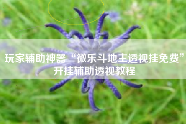 玩家辅助神器“微乐斗地主透视挂免费	”开挂辅助透视教程