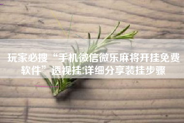 玩家必搜“手机微信微乐麻将开挂免费软件”透视挂!详细分享装挂步骤