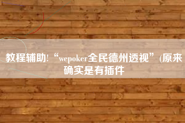 教程辅助!“wepoker全民德州透视”(原来确实是有插件