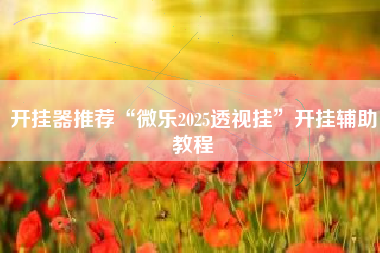 开挂器推荐“微乐2025透视挂	”开挂辅助教程