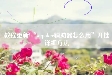 教程更新!“wepoker辅助器怎么用”开挂详细方法