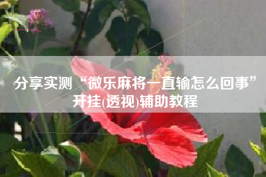 分享实测“微乐麻将一直输怎么回事	”开挂(透视)辅助教程