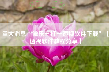 重大消息“微乐三打一透视软件下载	”【透视软件教程分享】